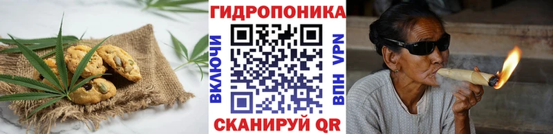 Canna-Cookies марихуана  закладка  omg сайт  Мирный 