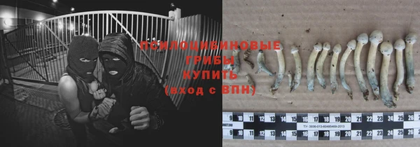 Альфа ПВП Алзамай