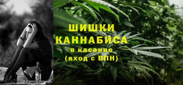 Альфа ПВП Алзамай