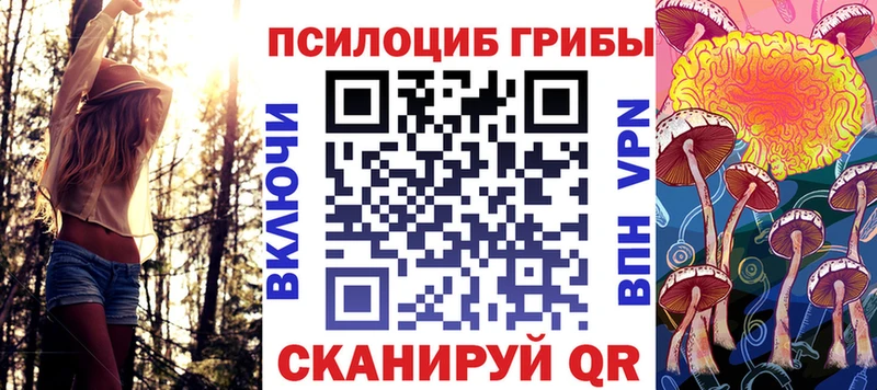 Псилоцибиновые грибы Psilocybine cubensis  цена   Мирный 
